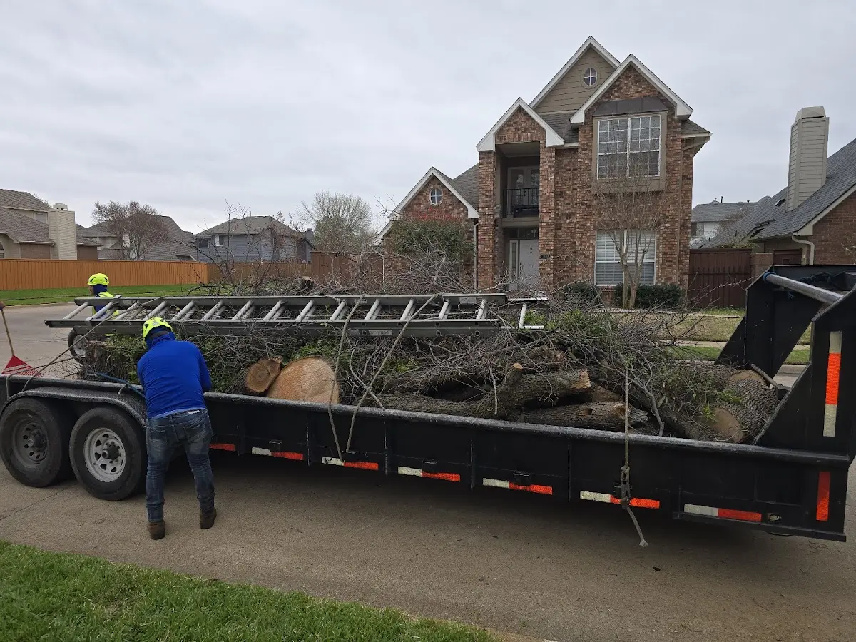 Expert Lot Clearing with proper safety equipment in Daisy